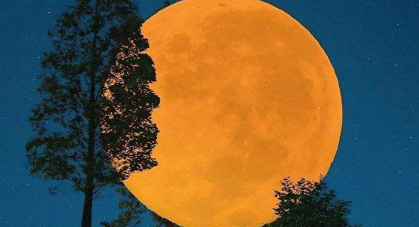 校花的贴身高手电视剧免费在线观看最大級のアダルトポータル-高清校花的贴身...